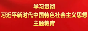 學(xué)習(xí)貫徹習(xí)近平新時(shí)代中國(guó)特色社會(huì)主義思想主題教育