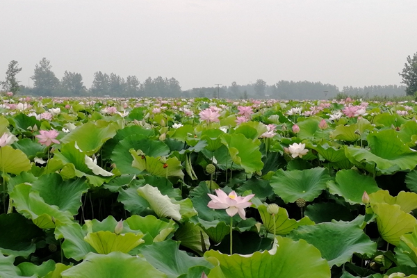 QQ圖片20220225142020.jpg QQ圖片20220225142020.jpg